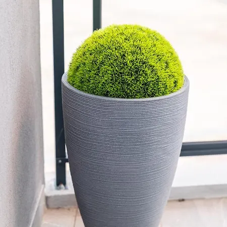 Villa L'alba By Location-tourisme-corse *